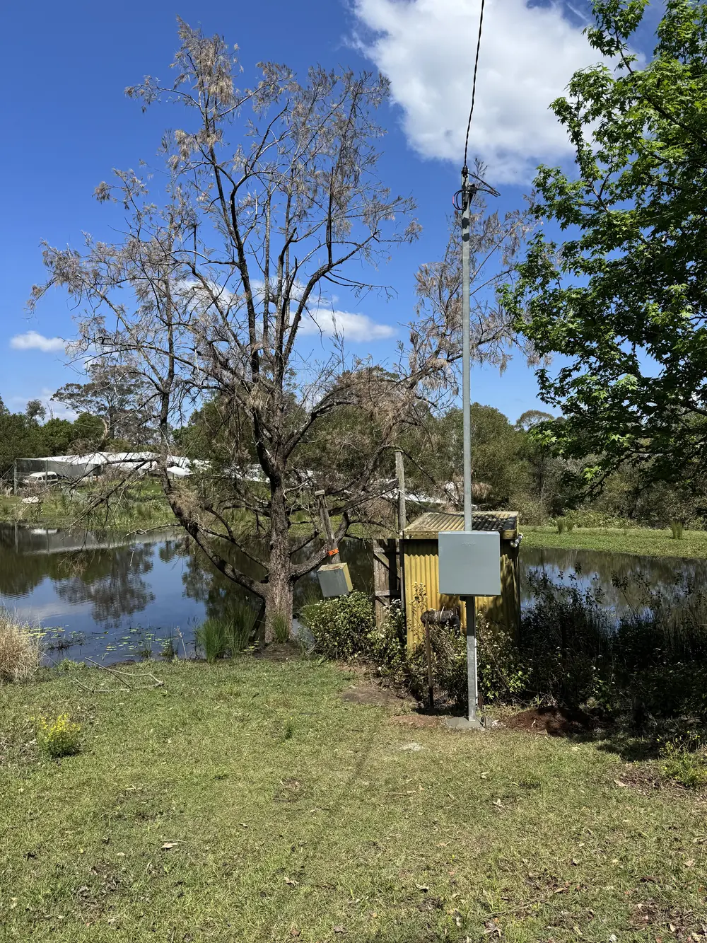 Outdoor electrical service box beside a landscaped area