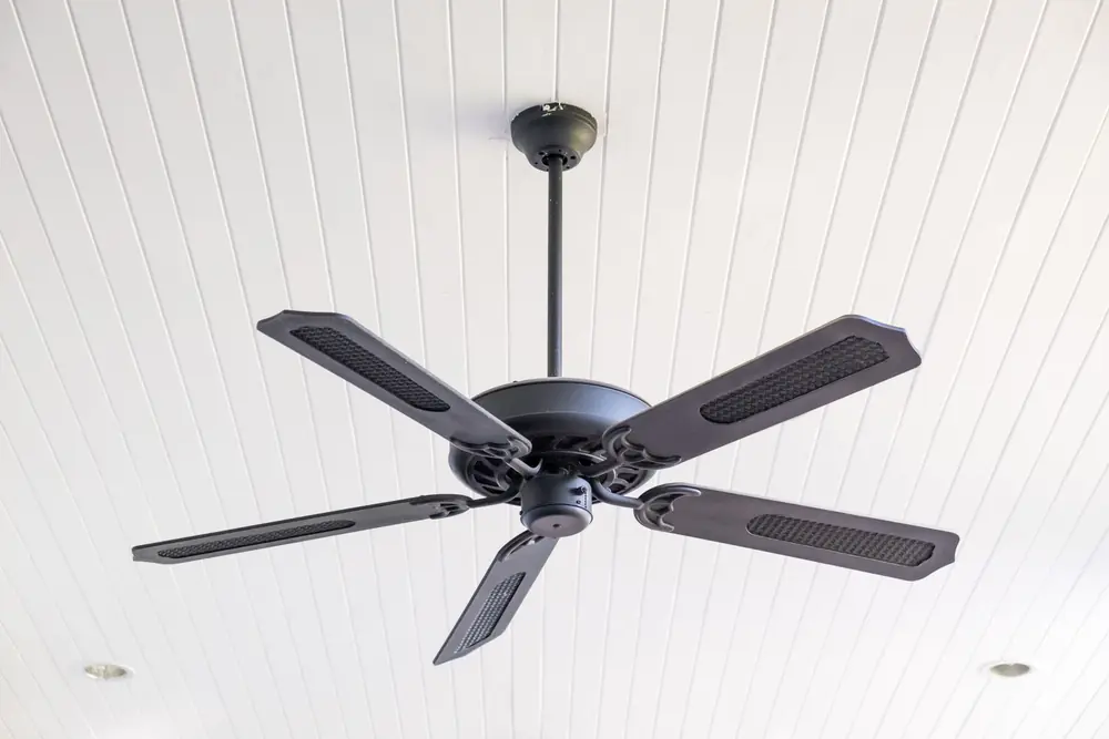 Black ceiling fan installed on a white ceiling